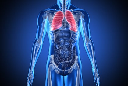 Digital blue human with highlighted lungs on dark blue background-2